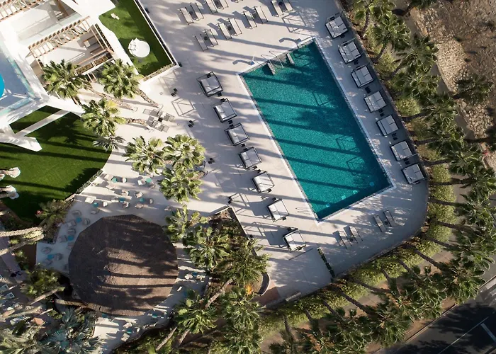 Tabaiba Princess Maspalomas (Gran Canaria)